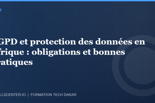 Miniature - RGPD et protection des données en Afrique : obligations et bonnes pratiques